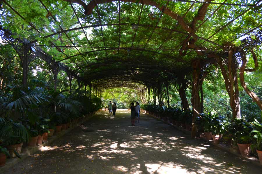 Jardín Botánico-Histórico de Málaga