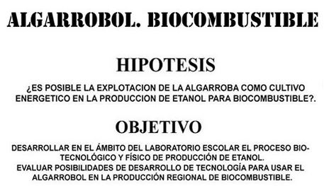 Algarrobol Biocombustible Hipótesis